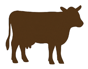 cattle feed manufacturers in punjab